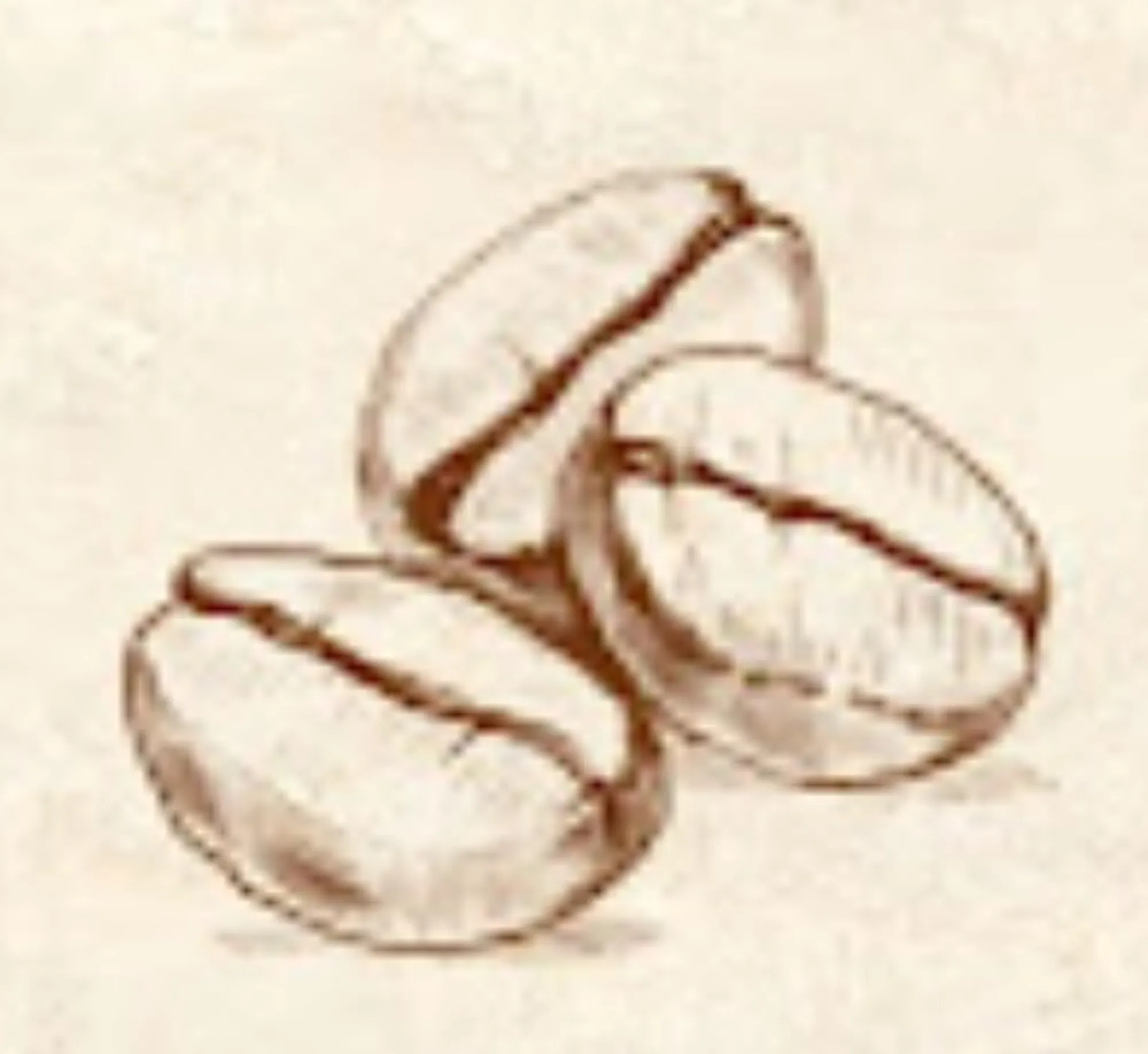 a coffee bean