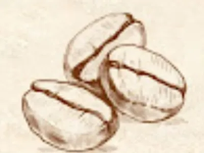 a coffee bean