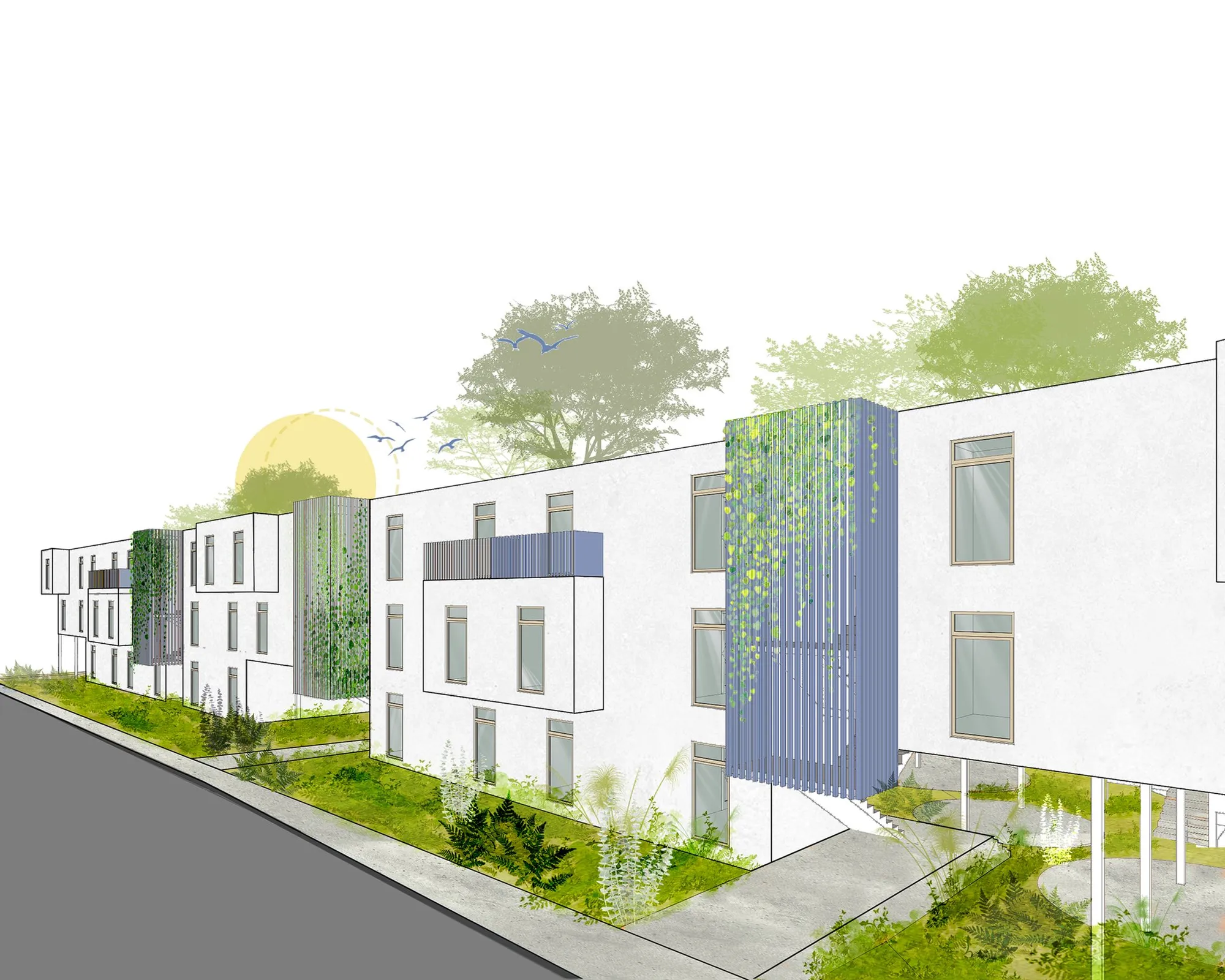 Sustainable Coliving Architecture: The Fusion of Community and Nature in Reforest.comm