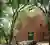 Eco-Friendly Forest Home Design: Unveiling Mirikina House by José Cubilla