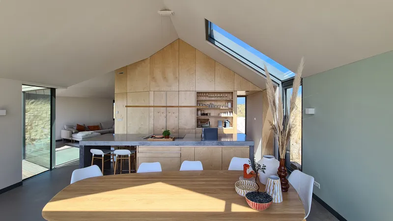 Open plan dining and kitchen with plywood cabinetry under pitched ceiling with skylight