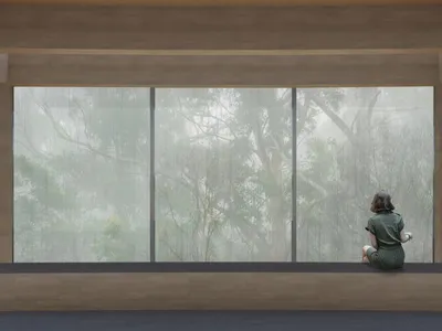 Tjukula Jukurrpa: A Veterinary Clinic and Temporary Habitat for Koalas