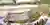 Helix Fusion: A Culinary Journey Through Time and Flavor in Santa Cruz