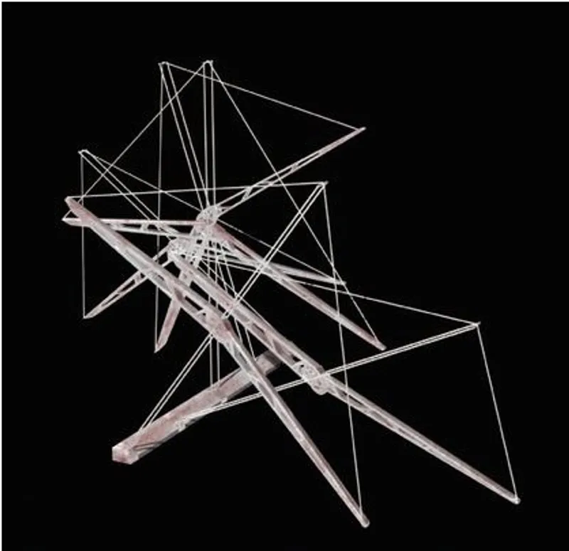 Martian Vein: Water vapor collector structural design.