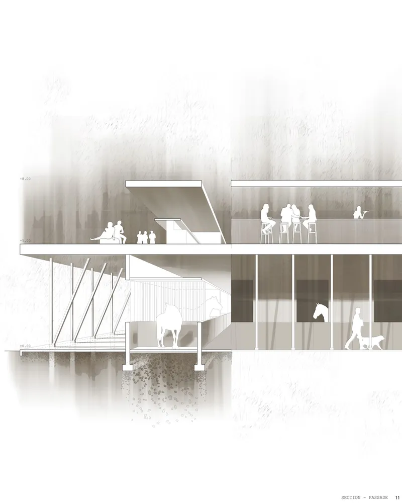 Seamless integration of equestrian facilities with communal spaces at Pantheon Paddocks.
