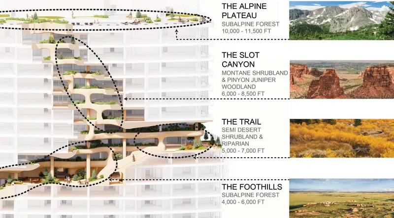 Planting Diagram