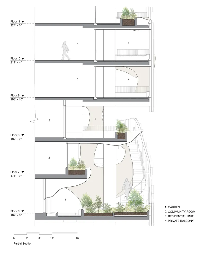 Partial Section