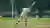 Pin Up Bet on Cricket Legend Retirement & Legacy: The New Beginning