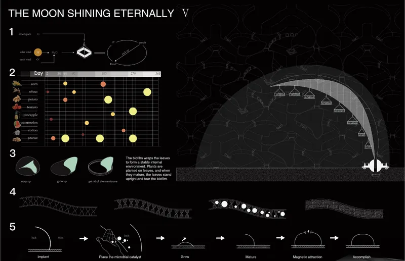 Biofilm technology for sustainable lunar agriculture.