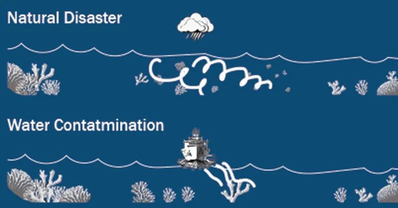 Illustration depicting impacts of natural disasters and water contamination on coral reefs.