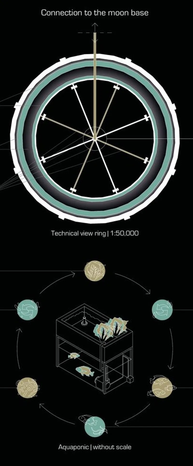 Technical view of MOONWARTS ring and aquaponic system.