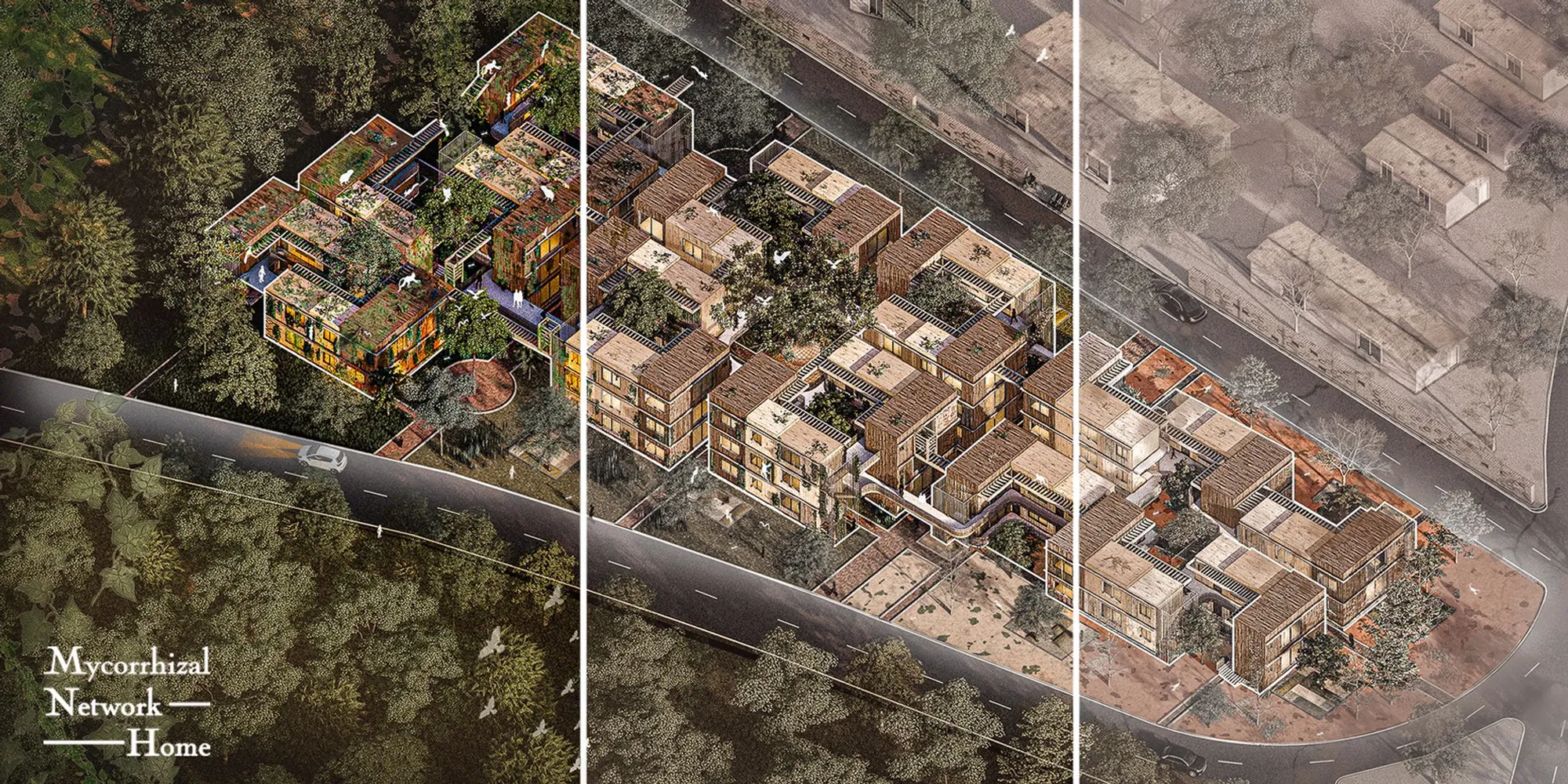 Mycorrhizal Network Home: A Symbiotic Design for Sustainable Living in the Amazon