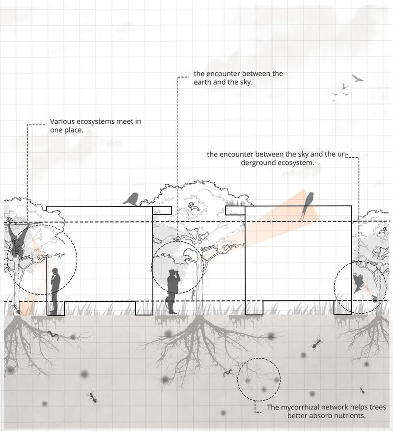 Layers of ecosystems meet, from underground to the sky.