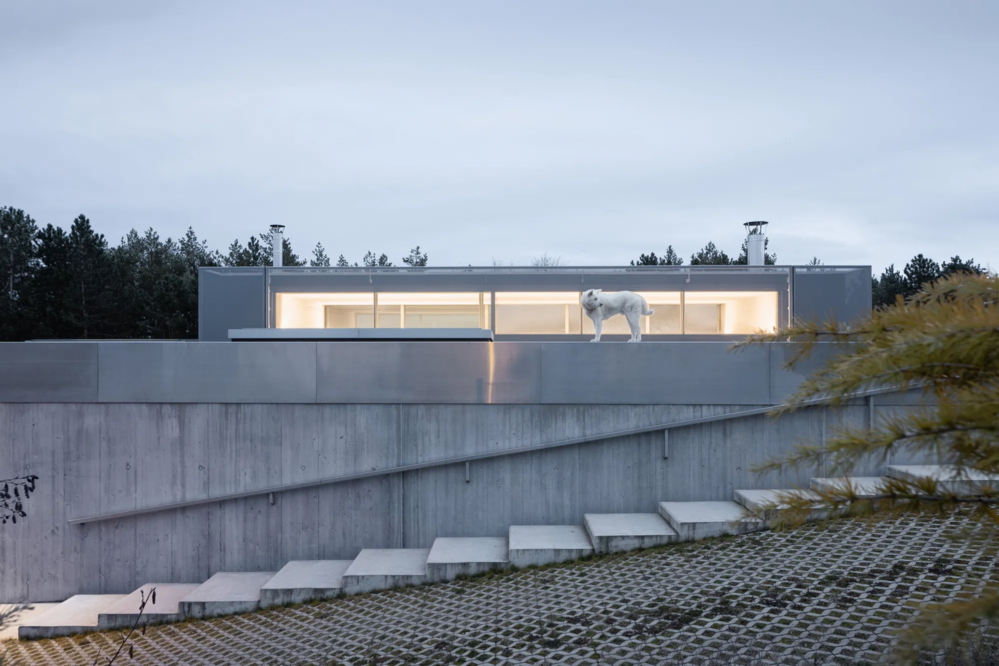 Zasadený House: A Harmonious Blend of Nature and Modernity by Pauliny Hovorka Architekti