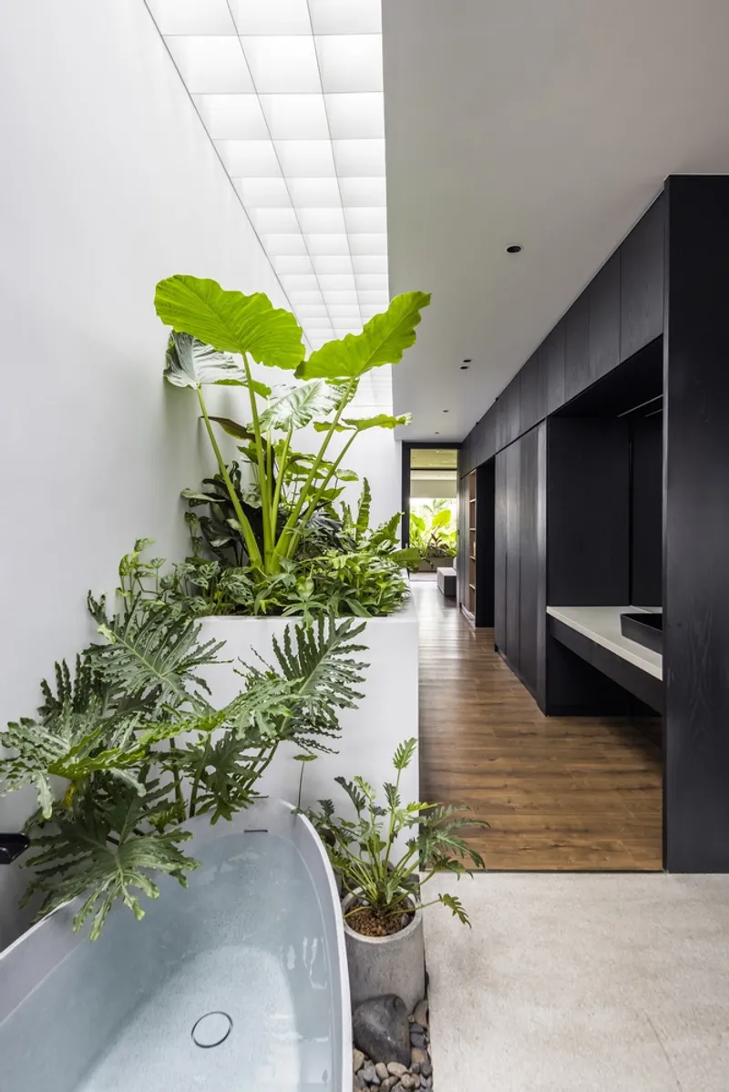 White skylight grid above a planted interior bed with elephant ear and ferns beside dark timber cabinetry