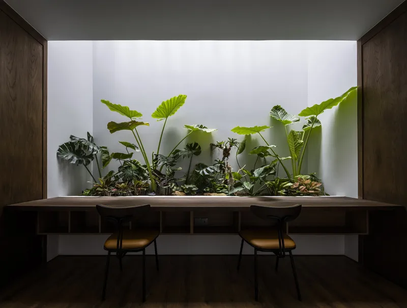 Double-height planted lightwell with elephant ear and monstera above a timber dining table with stools