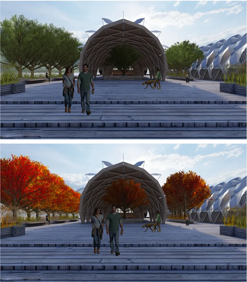Elevated timber deck with broad steps leading to a latticed arch pavilion as visitors and a dog approach