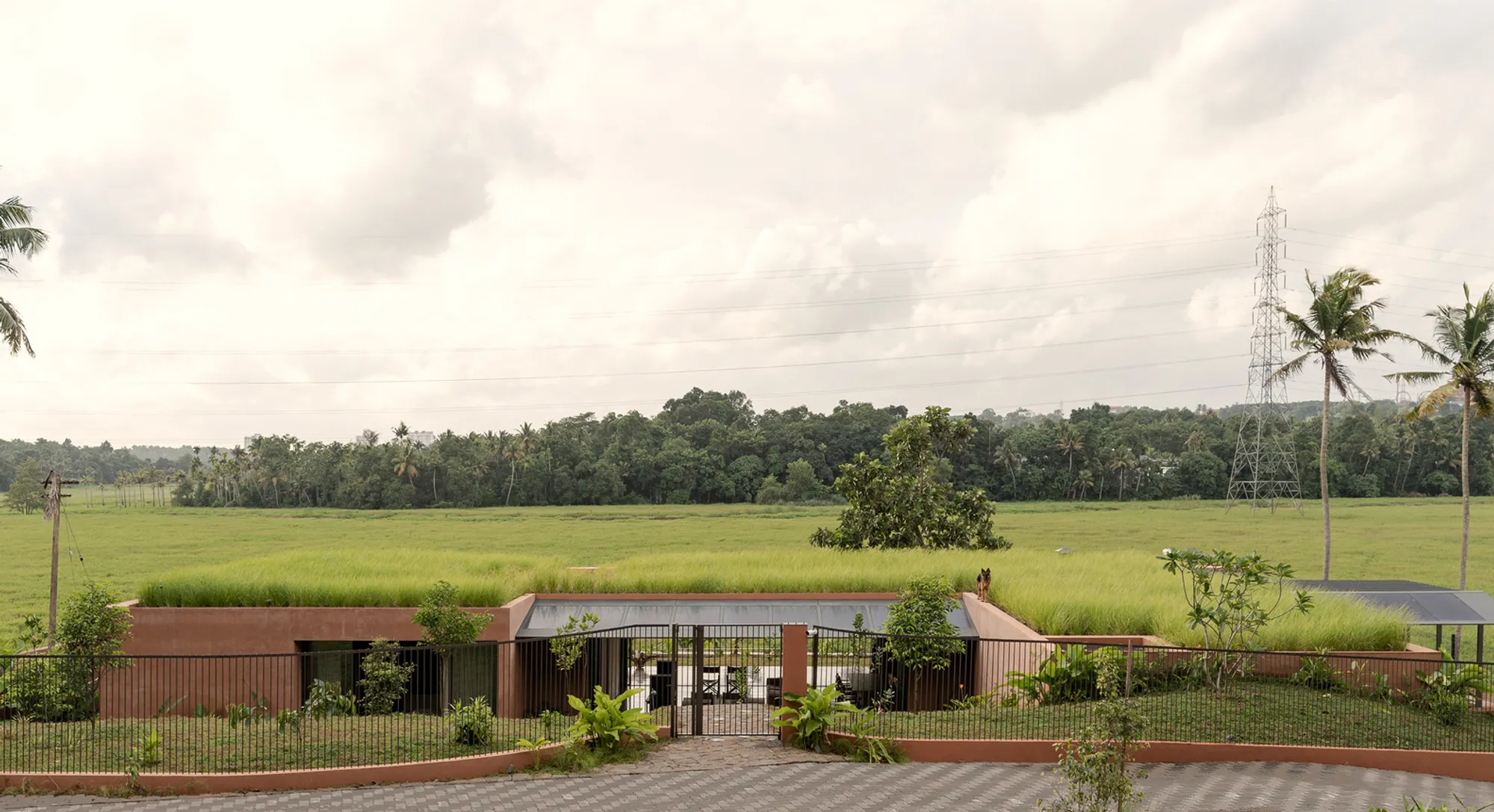Alarine Earth Home by Zarine Jamshedji Architects: A Sustainable Earth-Integrated Residence in Kochi