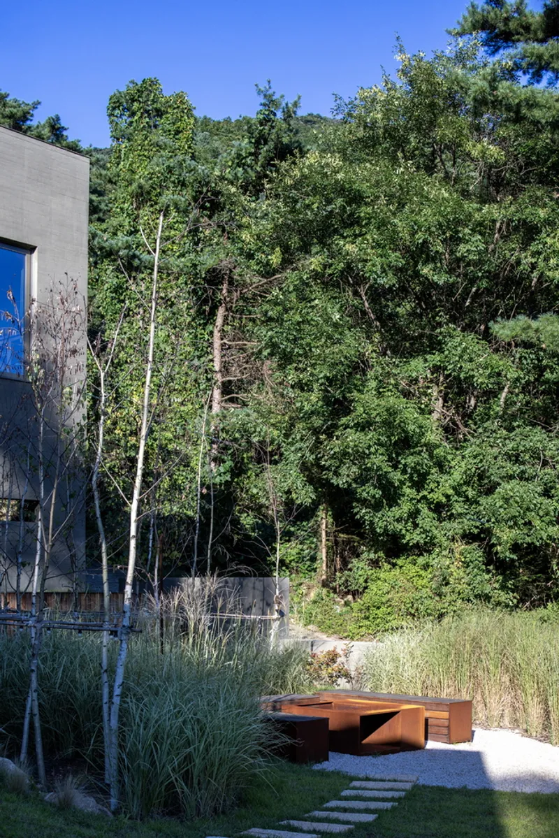 Corten steel bench on a gravel terrace with birch trees and native grasses in afternoon light