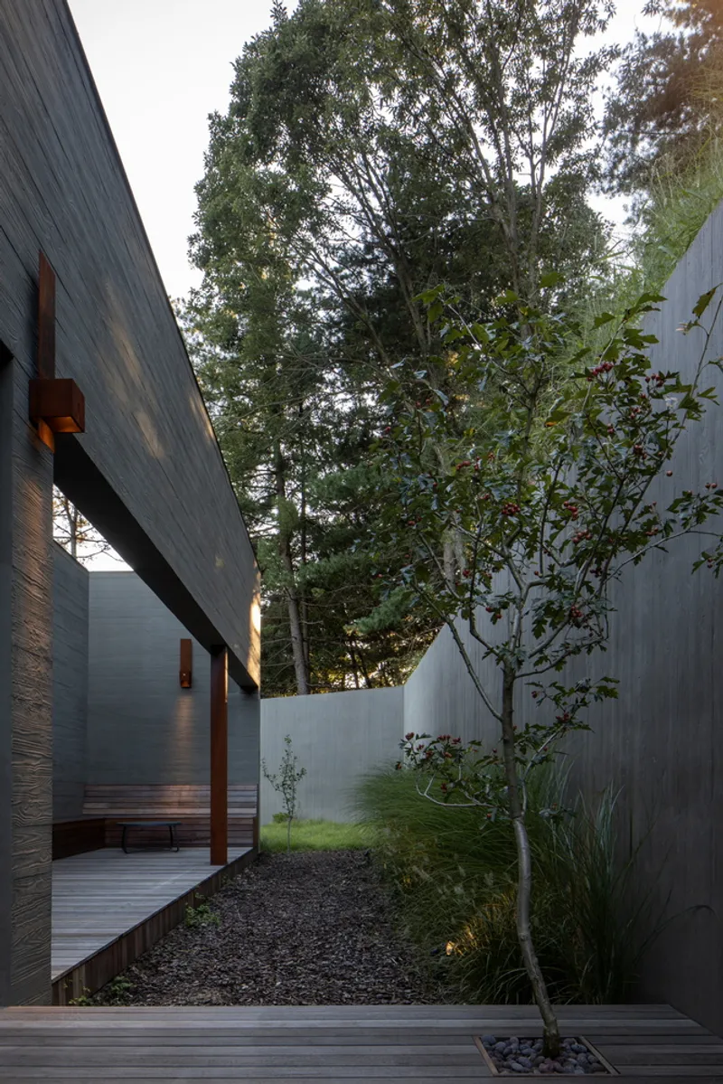 Narrow courtyard with concrete walls, gravel path, planted trees and timber deck at dusk