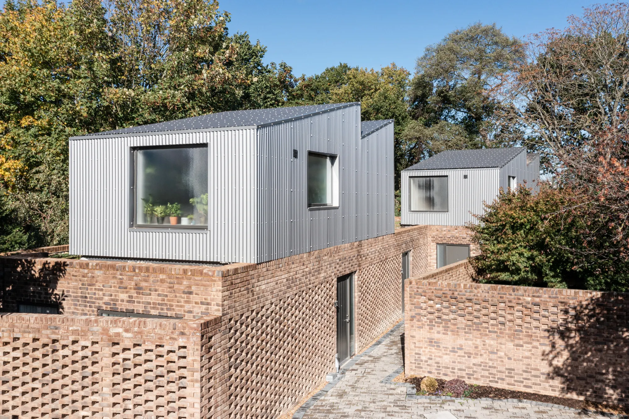 Forest Houses by Dallas-Pierce-Quintero: A Sustainable and Contextual Design Solution
