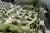 Kezouin Fuchu-shi Cemetery by Love Architecture: A New Paradigm in Japanese Memorial Design