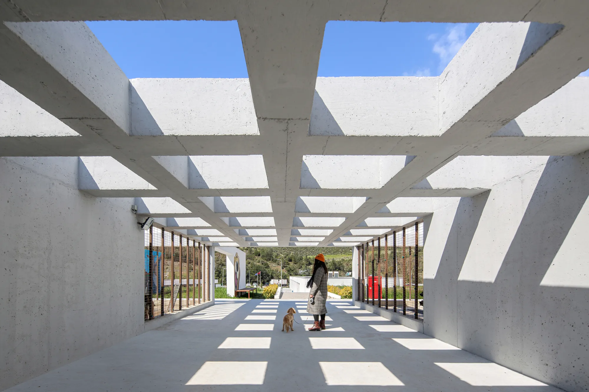 Pako Street Animal Social Life Campus by Mert Uslu Architecture