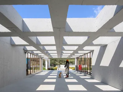Pako Street Animal Social Life Campus by Mert Uslu Architecture