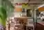 Nômade Apartment by Coarquitetos | Dynamic Design for Artistic Living in Brasília