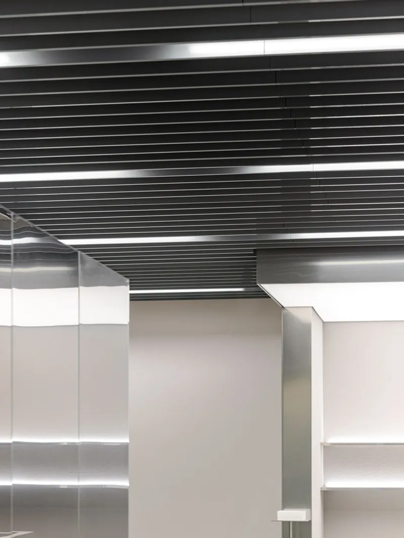 View of the black baffle ceiling system with integrated linear lighting above white partition walls