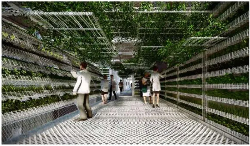 Corridor with perforated metal floor and walls of vertical hydroponic planters with visitors walking through