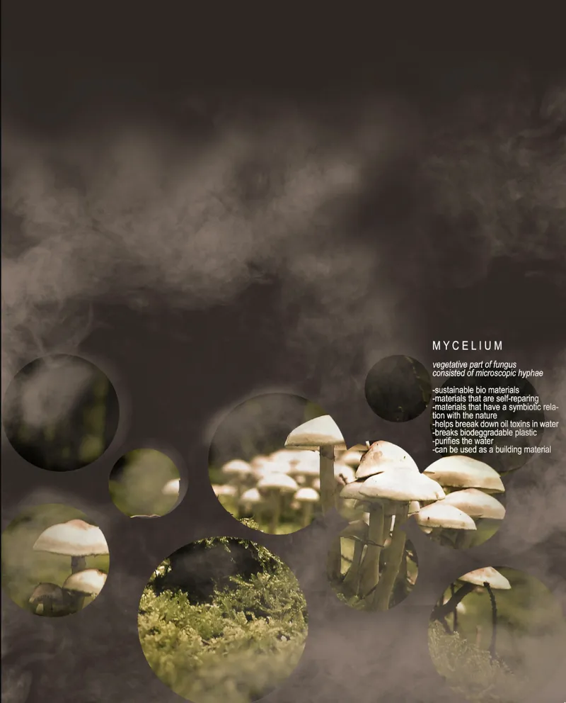 Conceptual diagram showing circular portals revealing mycelium forms and mushrooms against a misty background