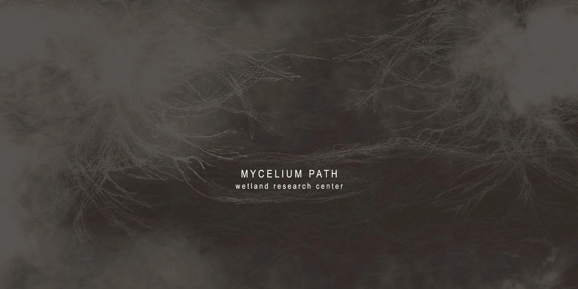 Mycelium Path: A Wetland Research Center Built from Fungal Logic