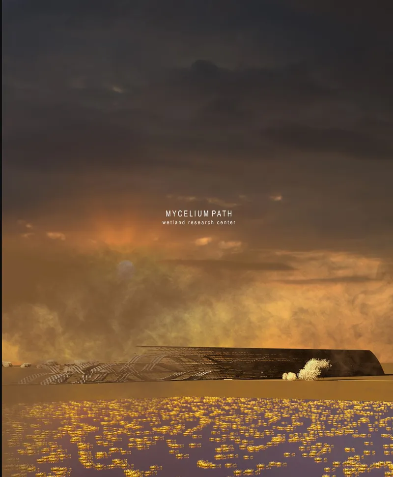 Rendering of a low timber-clad structure in a wetland field at dusk