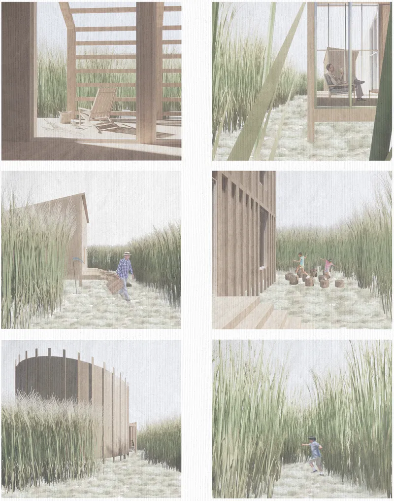Series of rendered vignettes showing timber pavilions and boardwalks nestled within tall grasses and wetland plantings