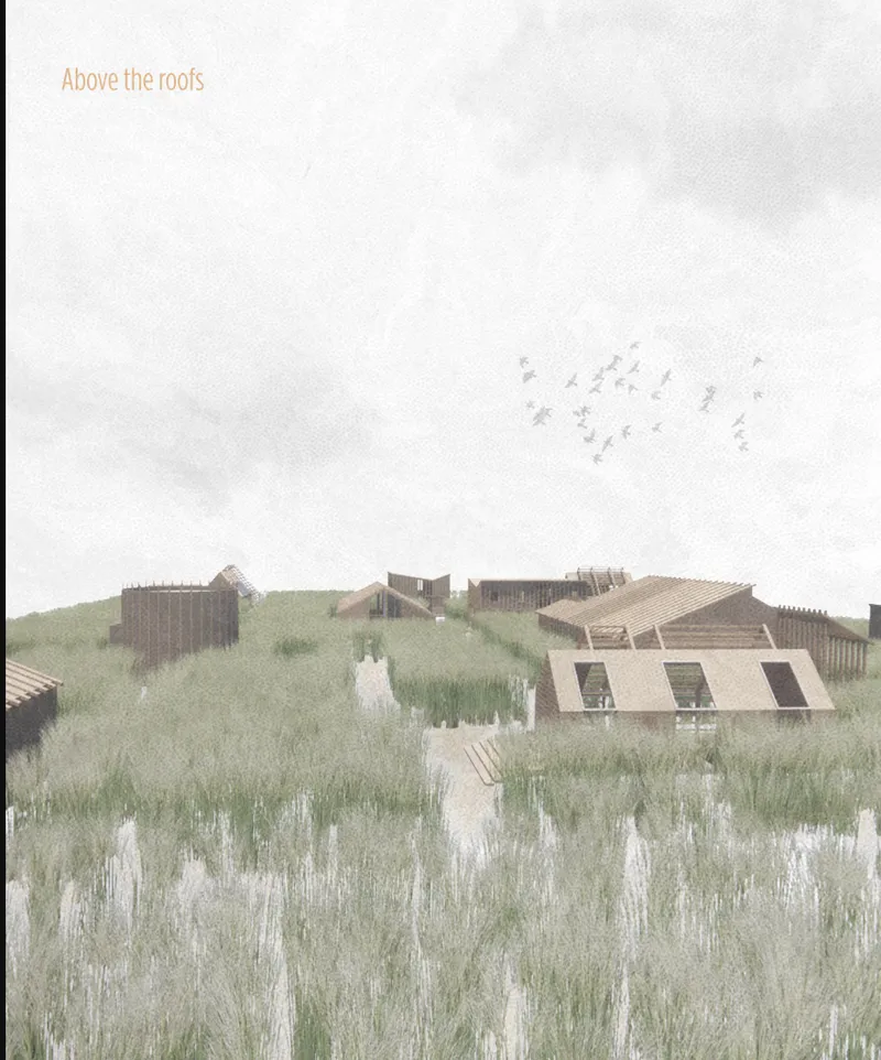 Aerial rendering showing scattered timber pavilions among tall wetland grasses with a flock of birds overhead