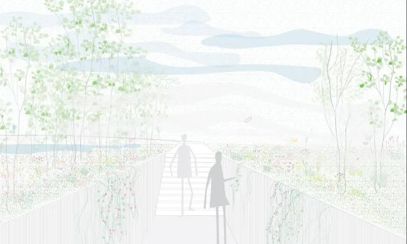 Section drawing depicting an elevated timber boardwalk through wildflower meadow with visitors and young trees