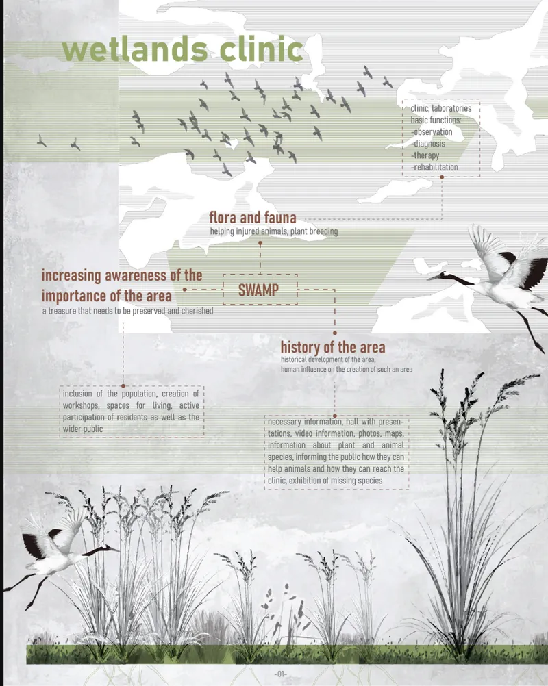 Presentation board showing wetlands clinic concept with illustrated swamp ecology and flying birds overhead