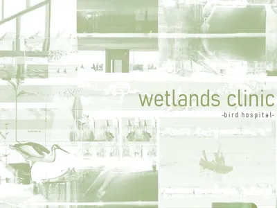The Wetlands Clinic: A Swamp-Based Bird Hospital on the River Tame