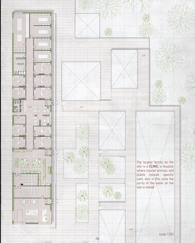 Site plan drawing depicting linear clinic building with courtyards and dispersed pavilions among illustrated wetland vegetation