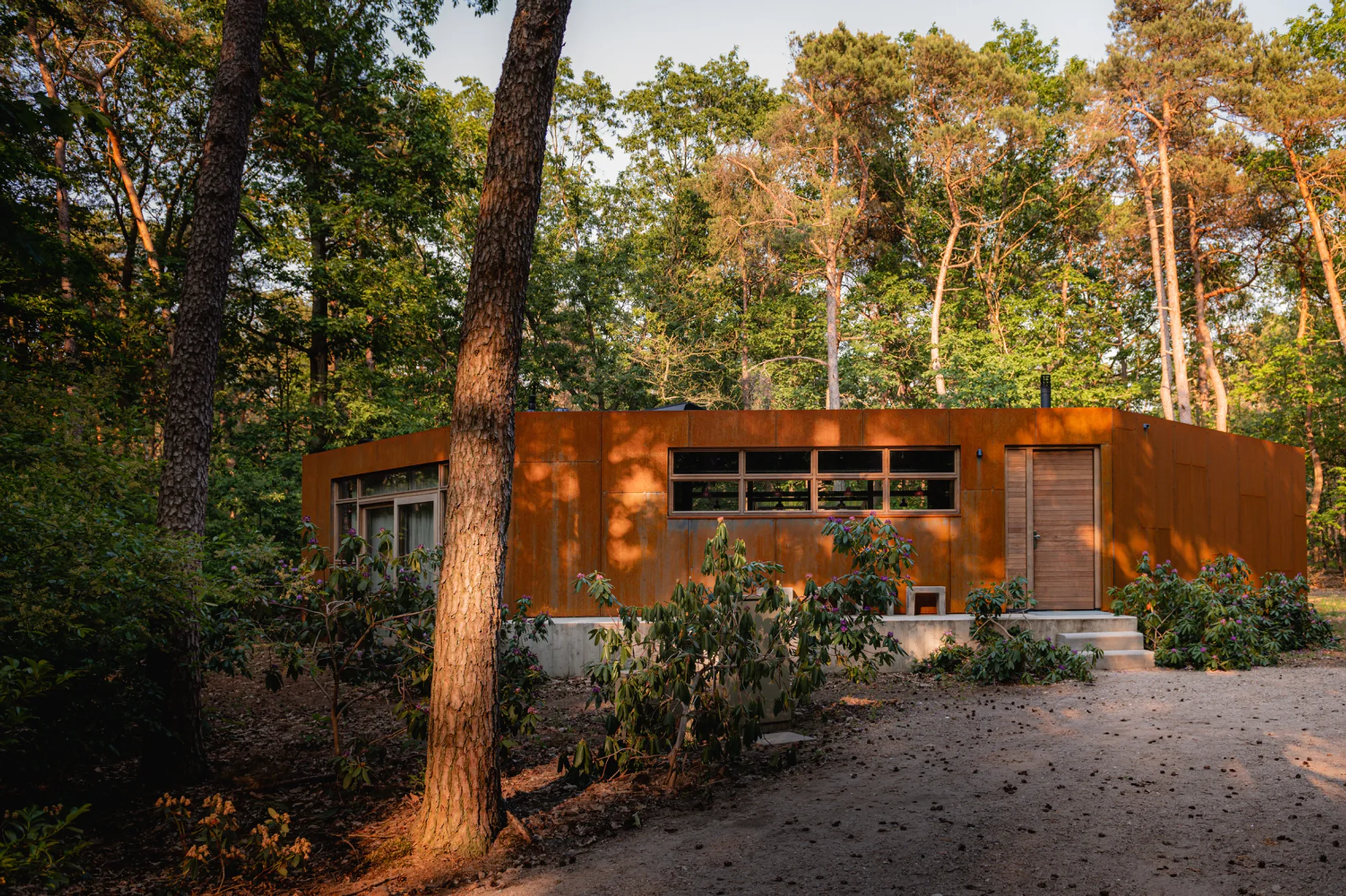 C House by GetAway Projects: Innovative Forest Retreat in The Netherlands