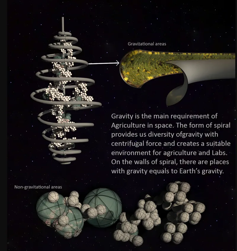 Sectional diagram revealing the vegetated interior zones along the curved walls of the spiral structure