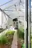 This image showcases the interior of a greenhouse, featuring a metal frame structure with glass pane