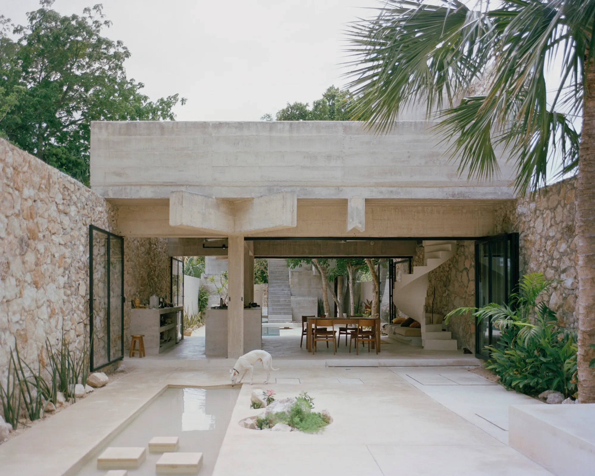 House in Los Cocos by Ludwig Godefroy Architecture: A Timeless Concrete Retreat in Mérida