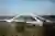 Jiangxi River Bridge by Zaha Hadid Architects: A Sculptural Landmark Redefining Chengdu’s Infrastructure