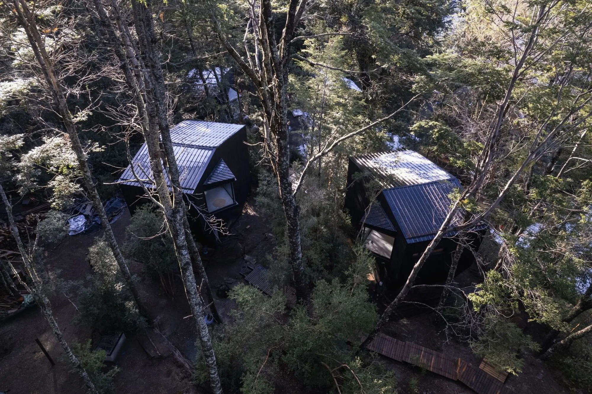 Gallareta House by OJA: A Harmonious Retreat in Patagonia’s Native Forest