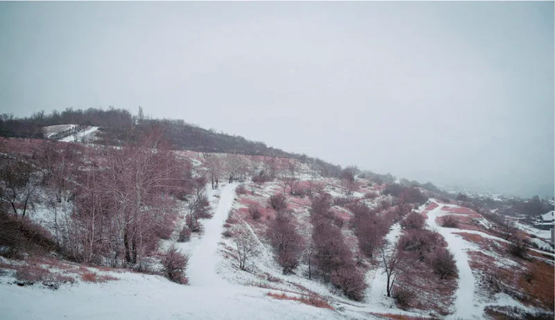 Sloping terrain with winding pathways through snow-dusted vegetation under overcast winter skies