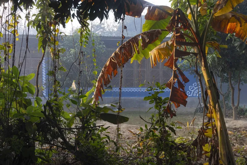 View through banana trees and garden vegetation toward the blue facade in morning mist