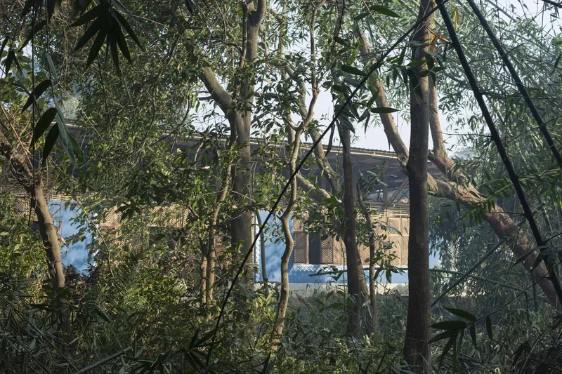 Glimpse of the brick facade through dense bamboo and tree branches in dappled sunlight