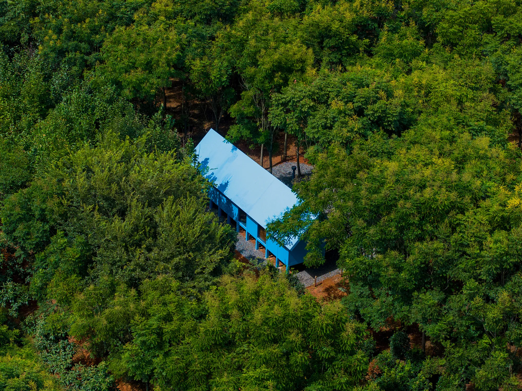 The Artist’s Cabin by Wiki World + Advanced Architecture Lab: A Serene Natural Retreat in Wuhan’s Forest